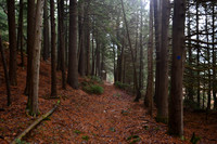 Moose Mountain Pond Trail, North Hudson