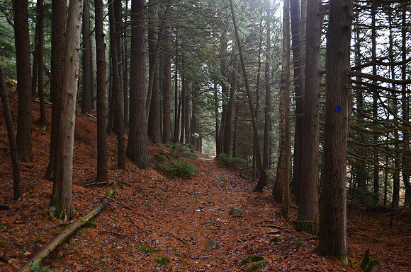 Moose Mountain Pond Trail, North Hudson