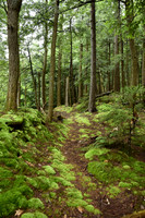 Trails & Roads