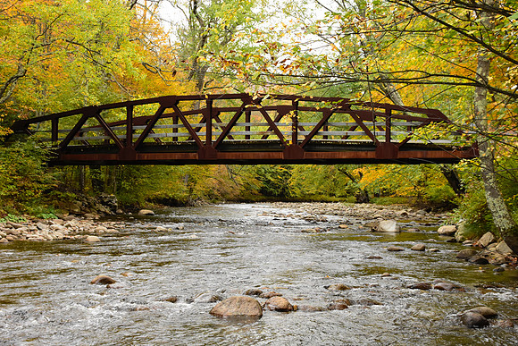 Bridge over the Saranac River