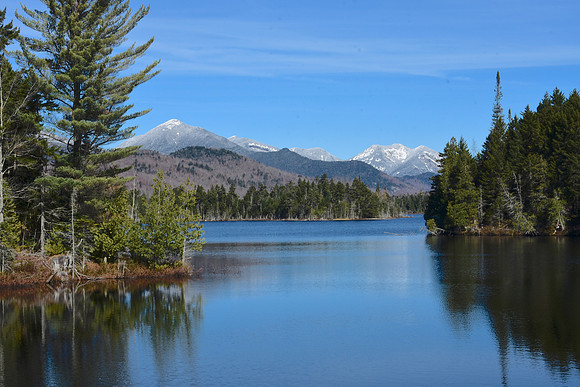 Pond, Boreas Ponds, North Hudson 6