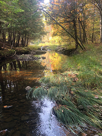 West Branch Ausable River, Wilmington 6