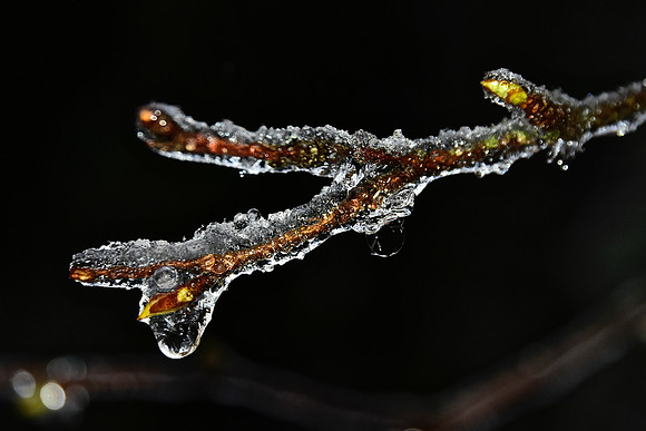 Ice Storm, North Hudson 7