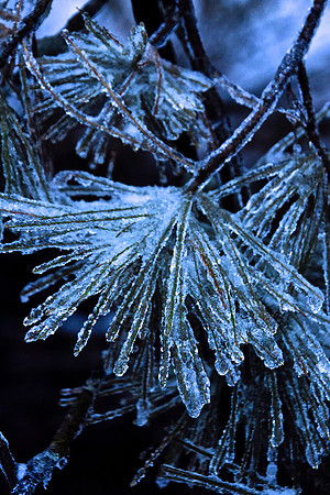 Ice Storm, North Hudson 11