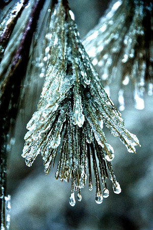 Ice Storm, North Hudson 12