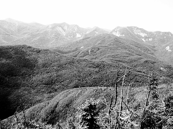 Nipple Top Mountain Summit 1