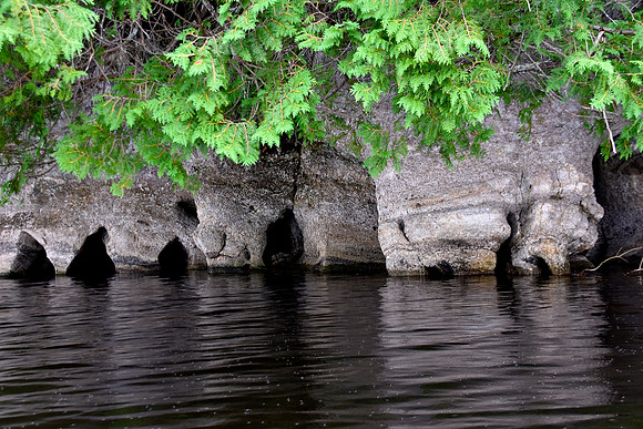 Elephant Island Rock Formation, Rich Lake, Newcomb 1
