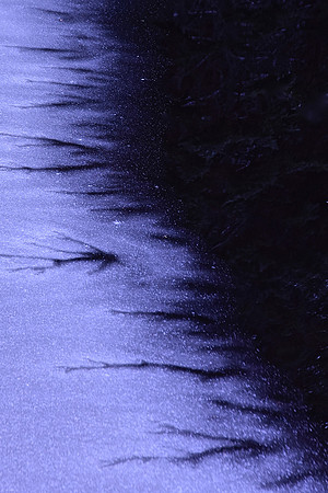 Ice on Cascade Lake