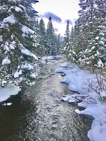 Winter Stream, Speculator 1