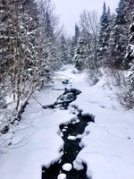 Icy Stream, Speculator