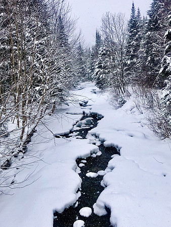 Icy Stream, Speculator
