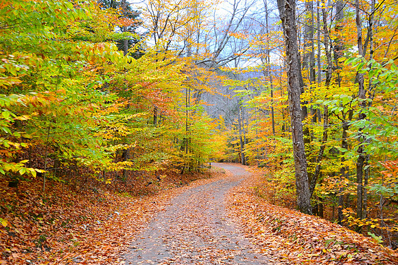 Lake Road to Lower Ausable Lake, Ausable Club