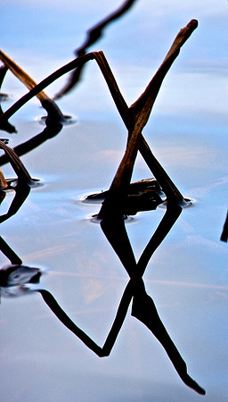 Geometry in Nature 5
