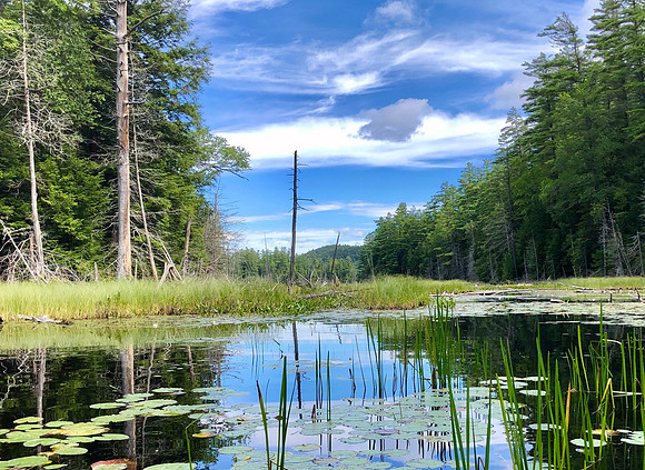 Johnson Pond, Back Bay, North Hudson