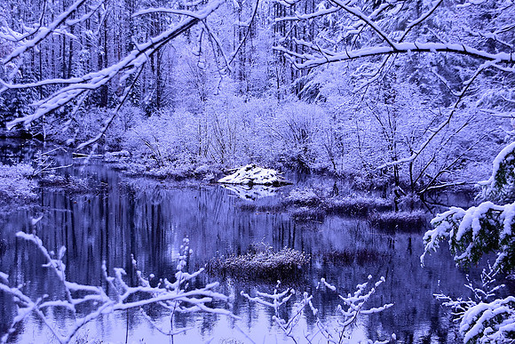 Schroon River, Beaver Lodge, North Hudson