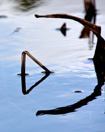 Geometry in Nature 12