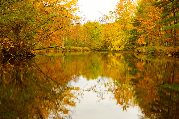 LaChute River, Ticonderoga 1