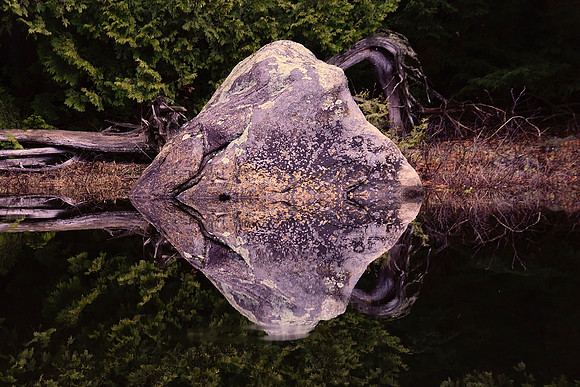 Rich Lake Rock Reflection, Newcomb 5