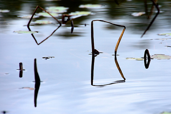Geometry in Nature 9