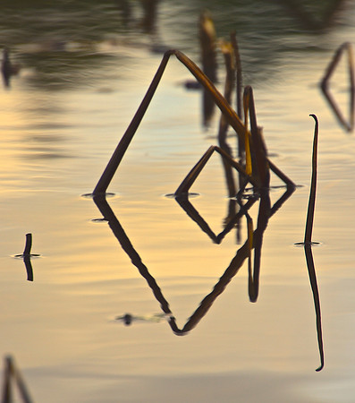 Geometry in Nature 28