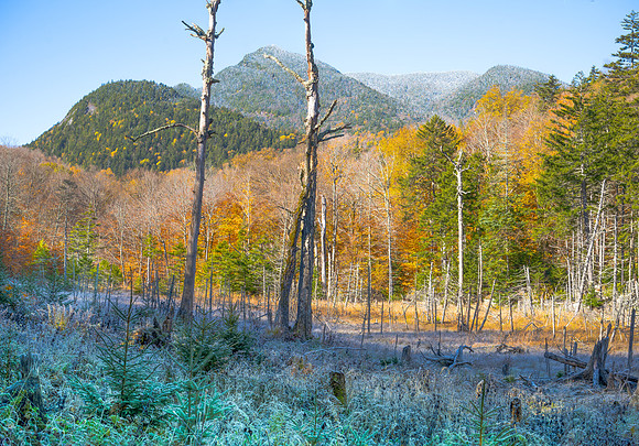 First Frost, Ausable Road to Indian Head
