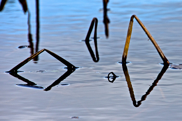 Geometry in Nature 17