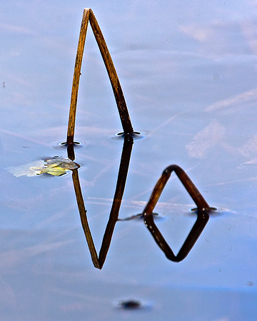 Geometry in Nature 14