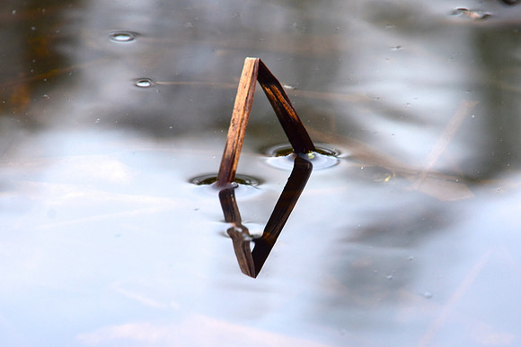 Geometry in Nature 10