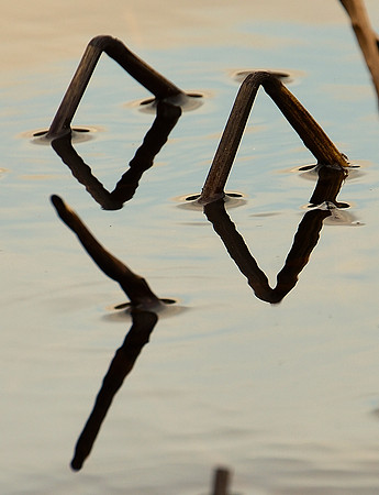 Geometry in Nature 3