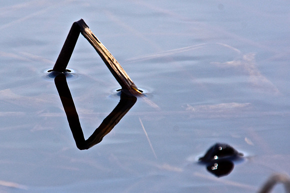 Geometry in Nature 16