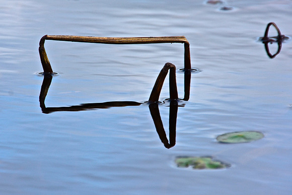 Geometry in Nature 15