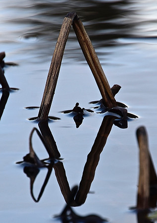 Geometry in Nature 23