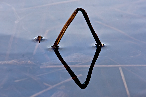 Geometry in Nature 13