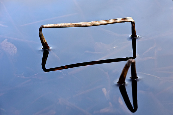Geometry in Nature 21