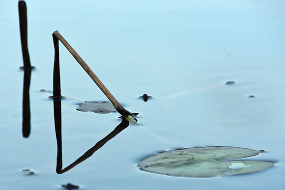 Geometry in Nature 27