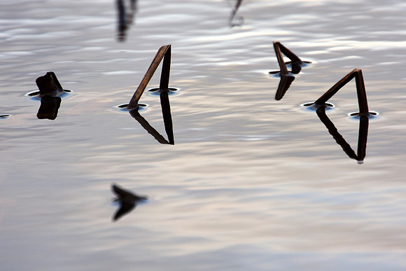 Geometry in Nature 32