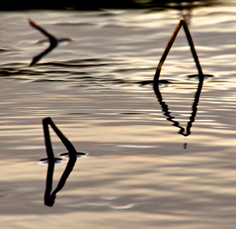 Geometry in Nature 31