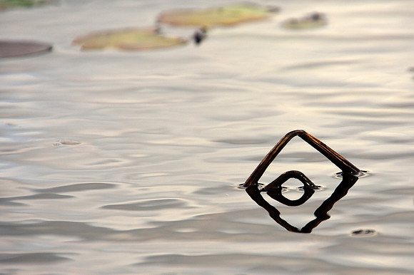 Geometry in Nature 33