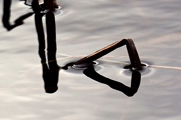 Geometry in Nature 30