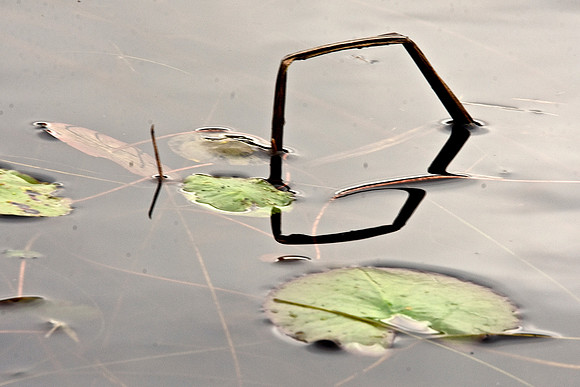 Geometry in Nature 2